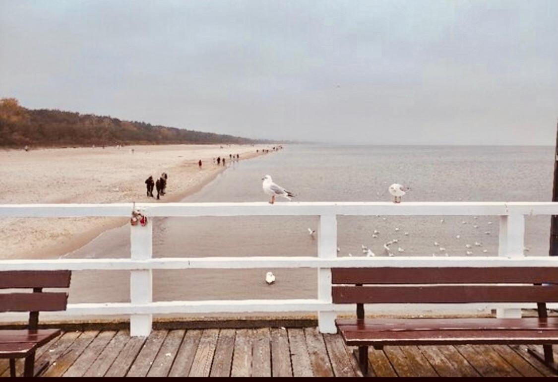 Apetyt Na Gdansk Apartament Z Prywatna Sauna Buitenkant foto